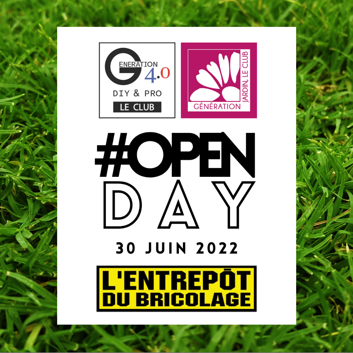 Open DAY 2022